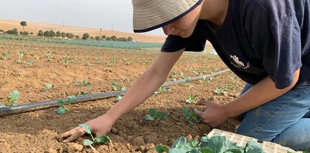 מאירים ת'ארץ: כך תוכלו להתנדב בחנוכה הקרוב. באדיבות השומר החדש