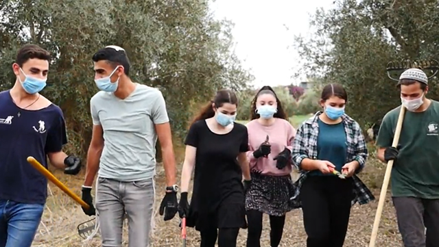 יצאו מהמסכים: בני נוער רבים התנדבו והאירו את הארץ ירון שרון