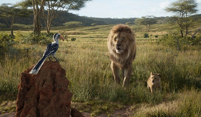 חדשות הקולנוע: ליהוקים ל"מלך האריות" החדש Disney באדיבות yes