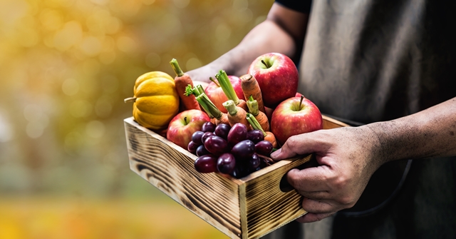 מגשי פירות: עיצוב שבריאות נפש וגוף. adobestock (אילוסטרציה)